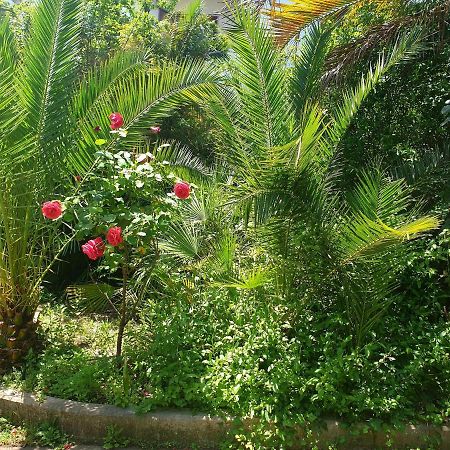 Вилла Quiet House Garden Naples-Pompei-Sorrento Треказе Экстерьер фото