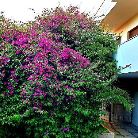 Вилла Quiet House Garden Naples-Pompei-Sorrento Треказе Экстерьер фото