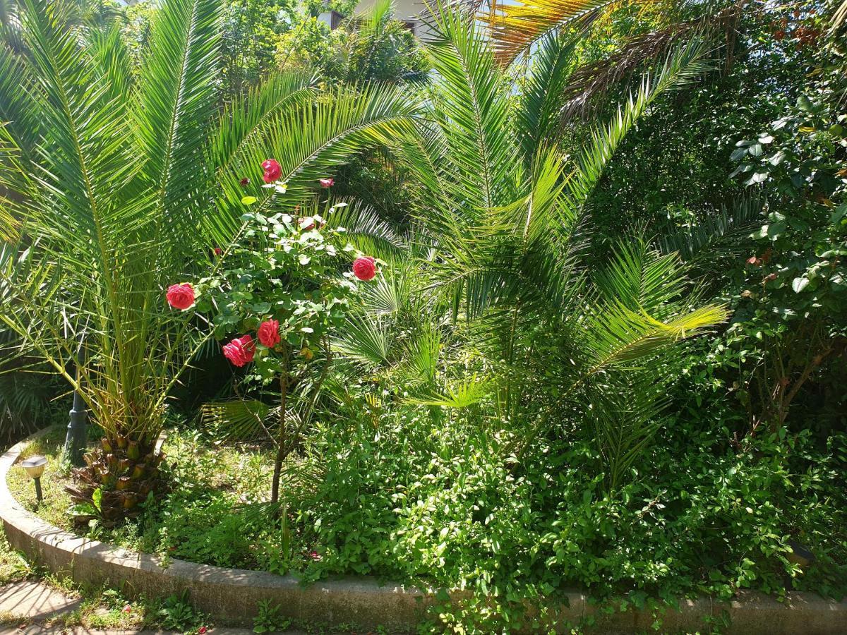 Вилла Quiet House Garden Naples-Pompei-Sorrento Треказе Экстерьер фото