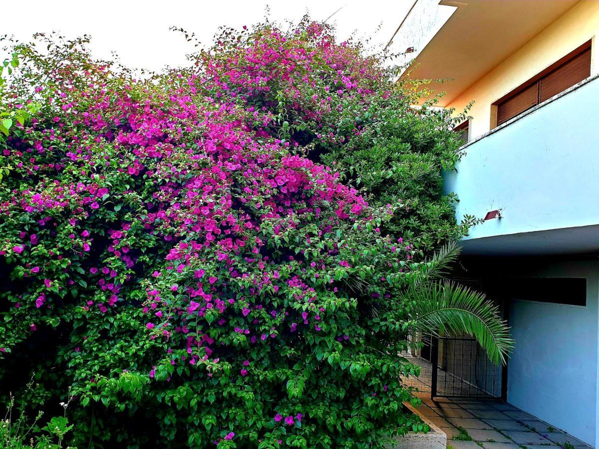 Вилла Quiet House Garden Naples-Pompei-Sorrento Треказе Экстерьер фото