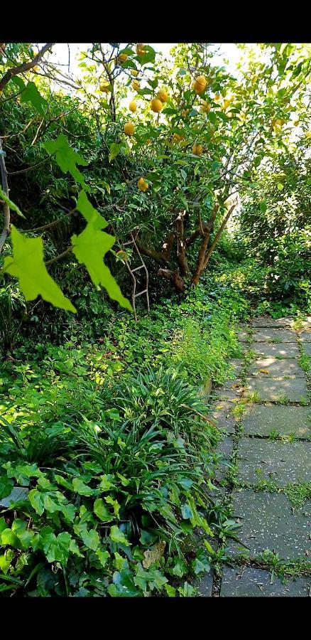 Вилла Quiet House Garden Naples-Pompei-Sorrento Треказе Экстерьер фото