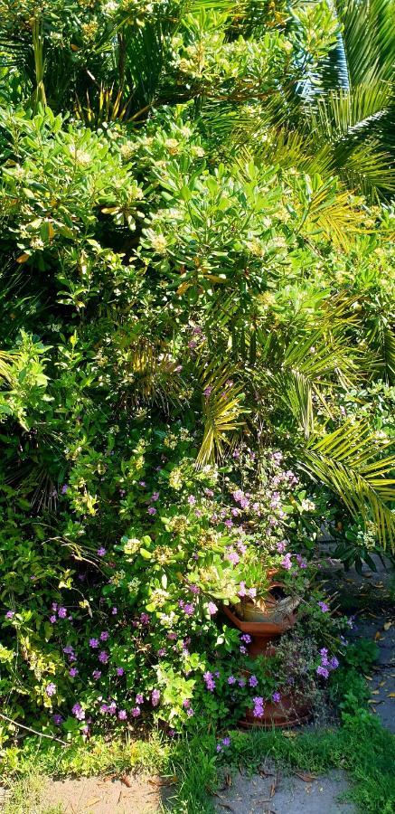 Вилла Quiet House Garden Naples-Pompei-Sorrento Треказе Экстерьер фото